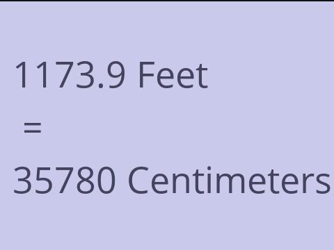 1173.9 FEET TO CM