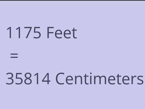 1175 FEET TO CM