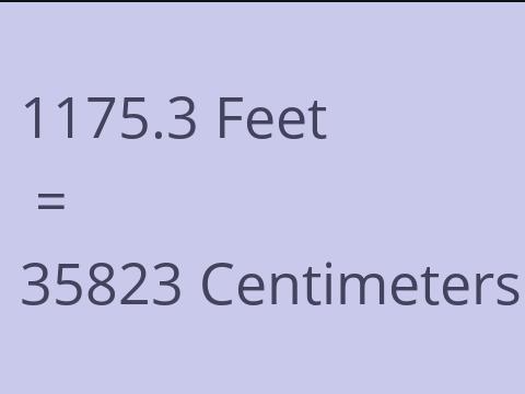 1175.3 FEET TO CM