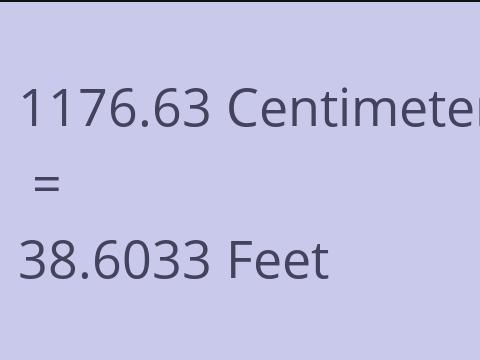 1176.63 CM TO FEET