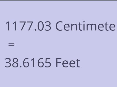 1177.03 CM TO FEET