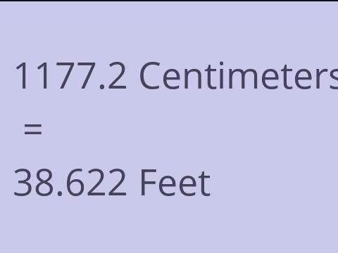 1177.2 CM TO FEET