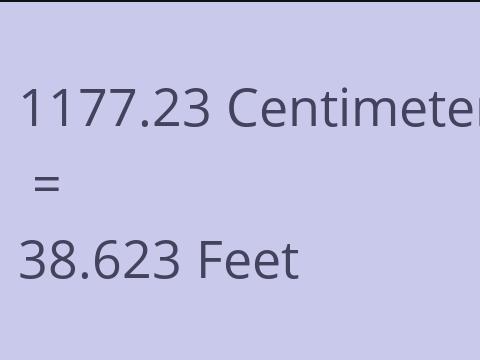 1177.23 CM TO FEET