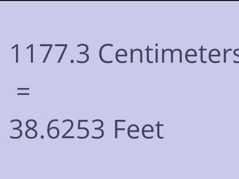 1177.3 CM TO FEET