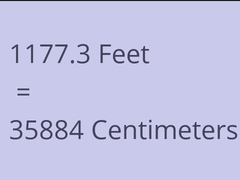 1177.3 FEET TO CM