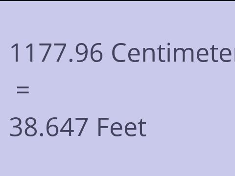 1177.96 CM TO FEET