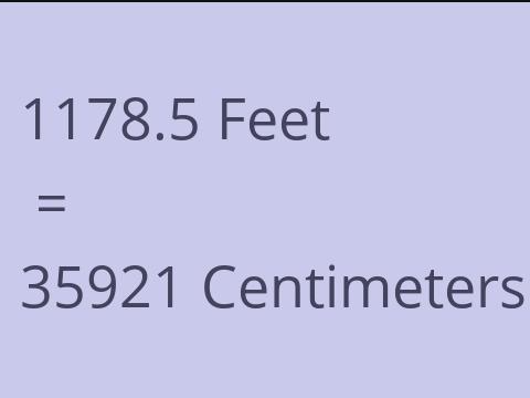 1178.5 FEET TO CM