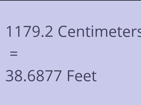 1179.2 CM TO FEET