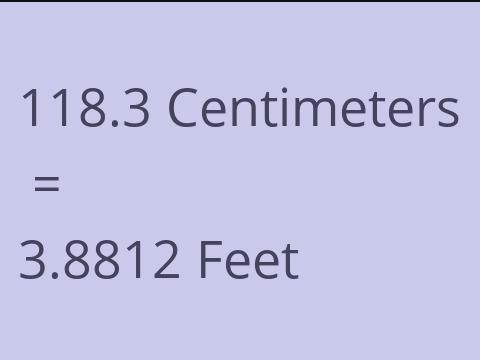 118.3 CM TO FEET