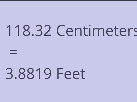 118.32 CM TO FEET