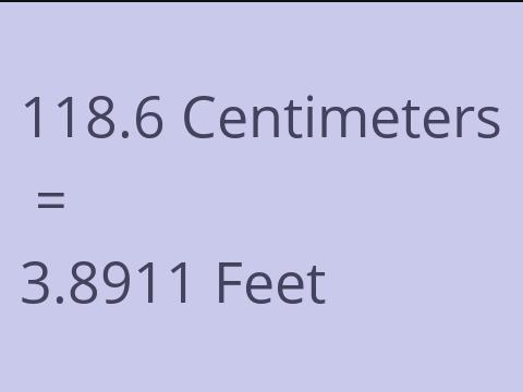 118.6 CM TO FEET