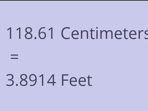 118.61 CM TO FEET