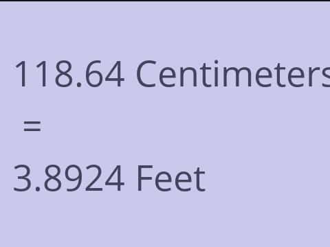 118.64 CM TO FEET