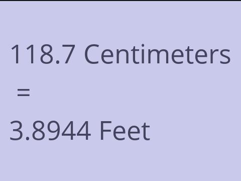 118.7 CM TO FEET