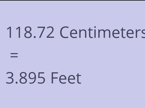 118.72 CM TO FEET