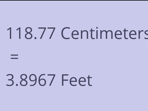 118.77 CM TO FEET