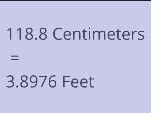 118.8 CM TO FEET