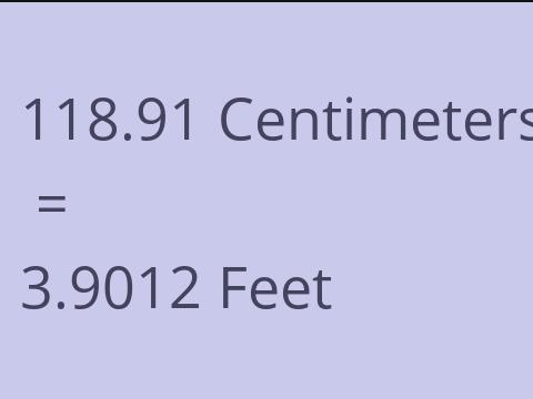 118.91 CM TO FEET