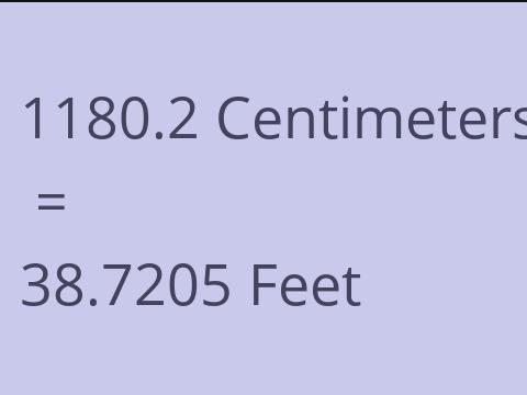 1180.2 CM TO FEET