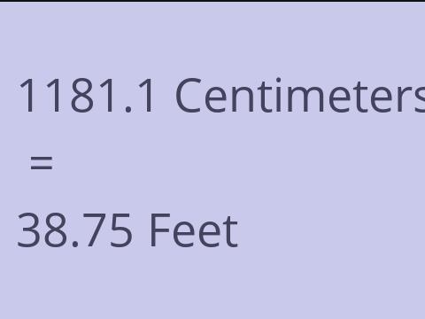 1181.1 CM TO FEET