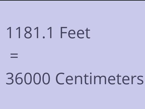 1181.1 FEET TO CM