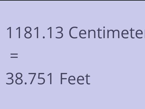 1181.13 CM TO FEET