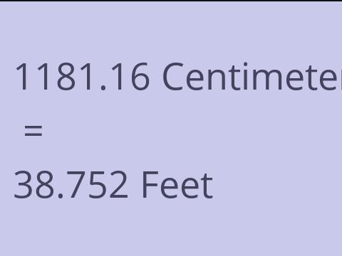 1181.16 CM TO FEET