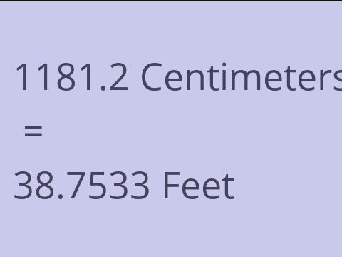 1181.2 CM TO FEET