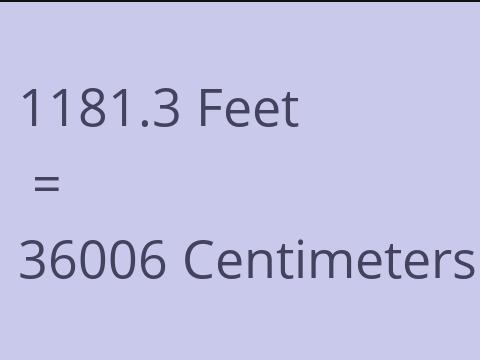 1181.3 FEET TO CM