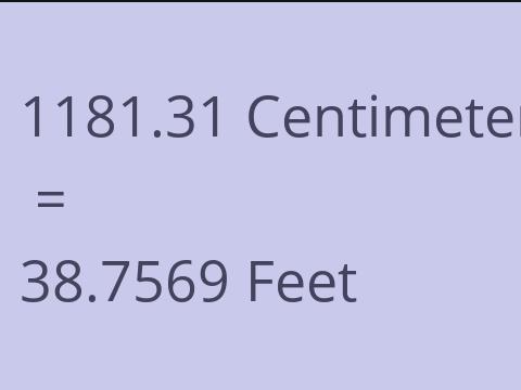 1181.31 CM TO FEET