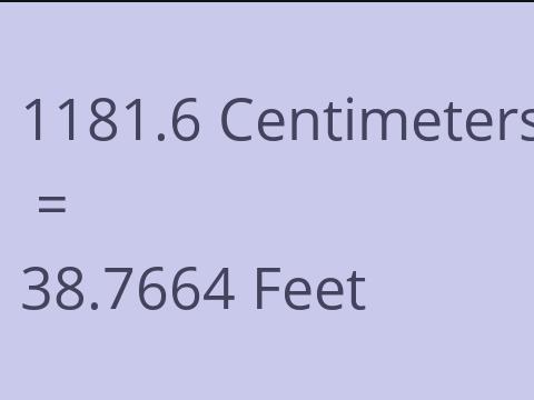 1181.6 CM TO FEET