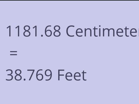 1181.68 CM TO FEET