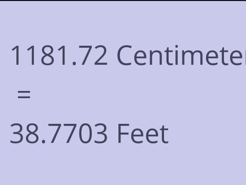 1181.72 CM TO FEET