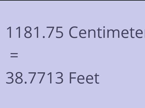 1181.75 CM TO FEET