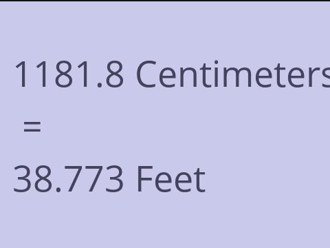 1181.8 CM TO FEET