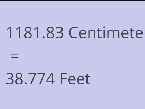 1181.83 CM TO FEET