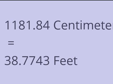 1181.84 CM TO FEET