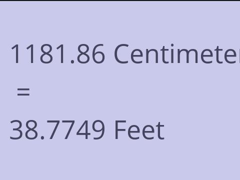 1181.86 CM TO FEET