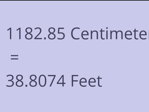 1182.85 CM TO FEET