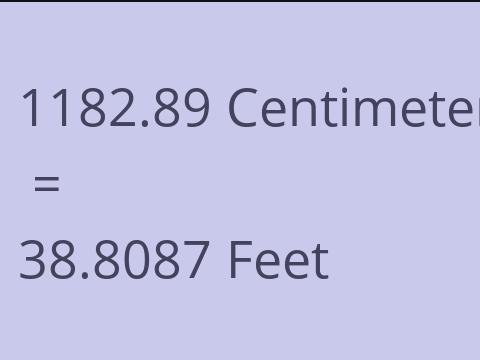 1182.89 CM TO FEET