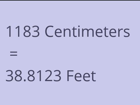 1183 CM TO FEET