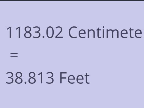 1183.02 CM TO FEET