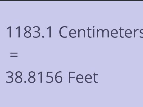 1183.1 CM TO FEET