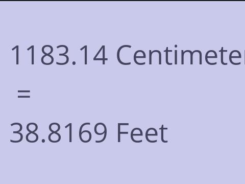 1183.14 CM TO FEET