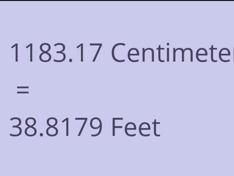 1183.17 CM TO FEET