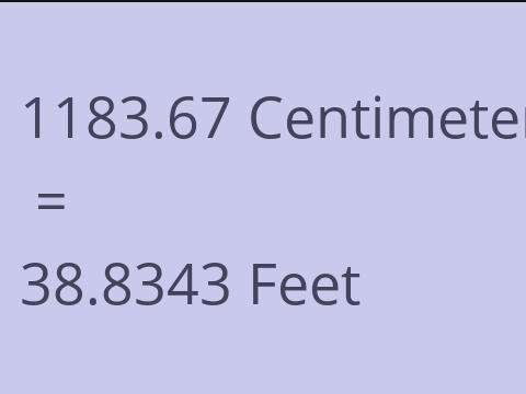 1183.67 CM TO FEET