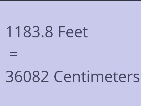 1183.8 FEET TO CM