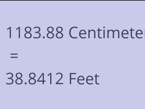 1183.88 CM TO FEET