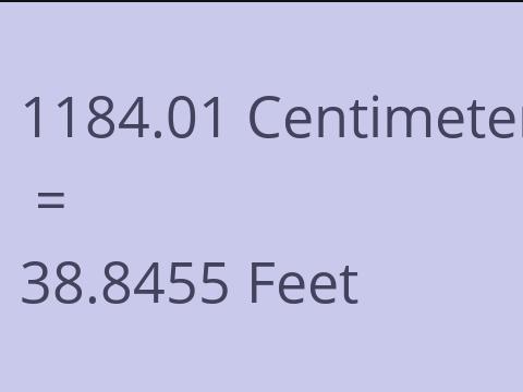 1184.01 CM TO FEET