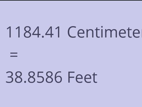 1184.41 CM TO FEET